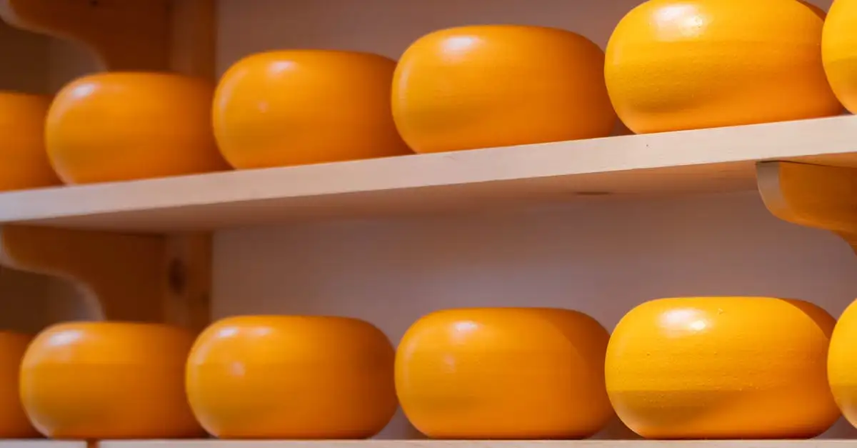 Ah Goudse kaas kopen | Heerlijke Hollandse kaas