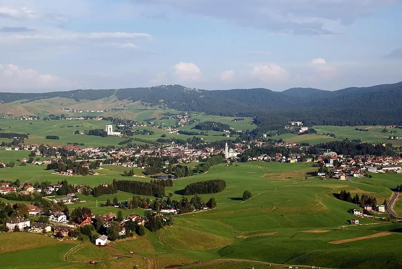 De complete gids voor asiago kaas: smaak, herkomst en recepten