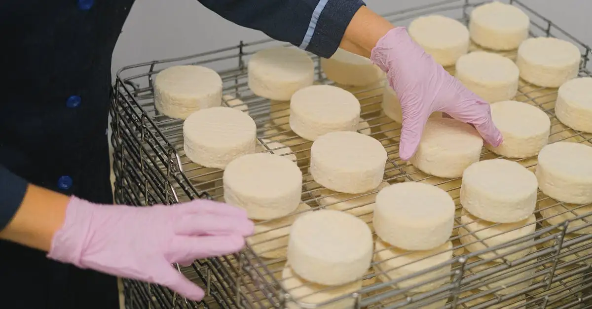 Beemster kaas fabriek: ontdek de lekkerste kazen