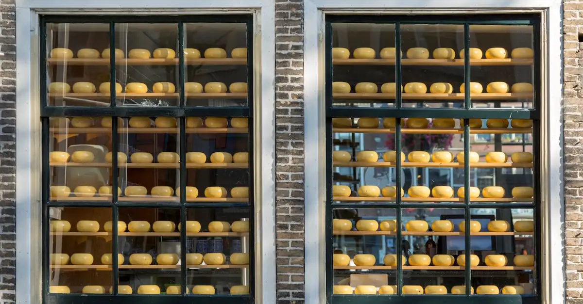 Bodegraven Kaas: Ontdek de Smaak van Hollandse Kwaliteit