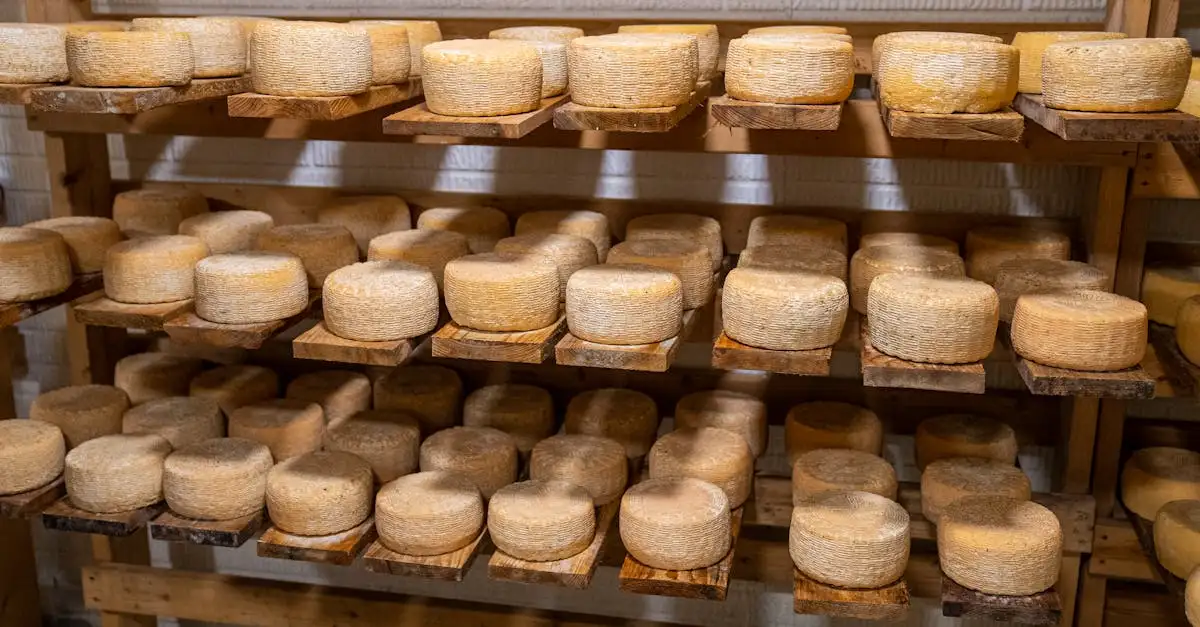 Brie kaas