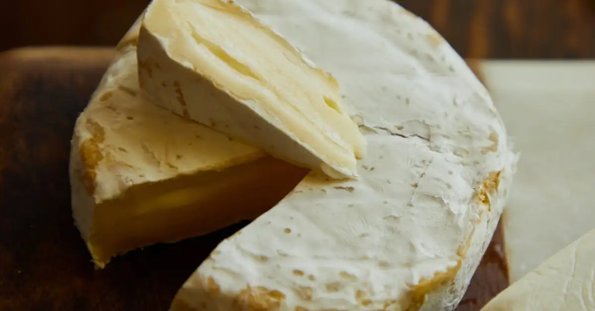 Kaas brie