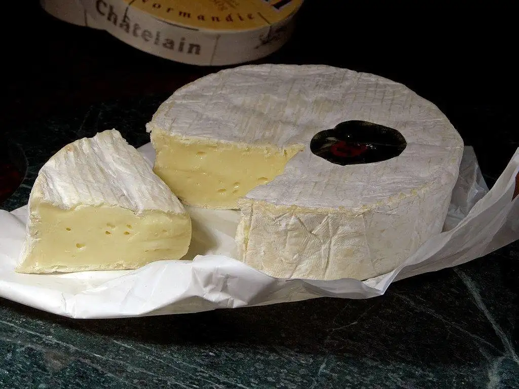 Kaas camembert
