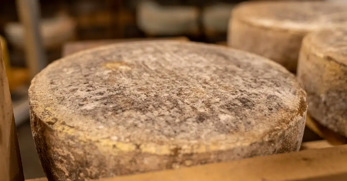 Gruyere kaas jumbo