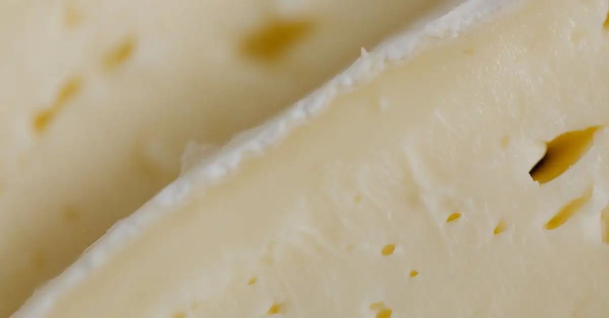 Is kaas een schimmel? Feiten en uitleg over kaas