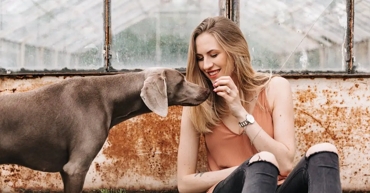 Is kaas giftig voor honden? Wat zegt de dierenarts?