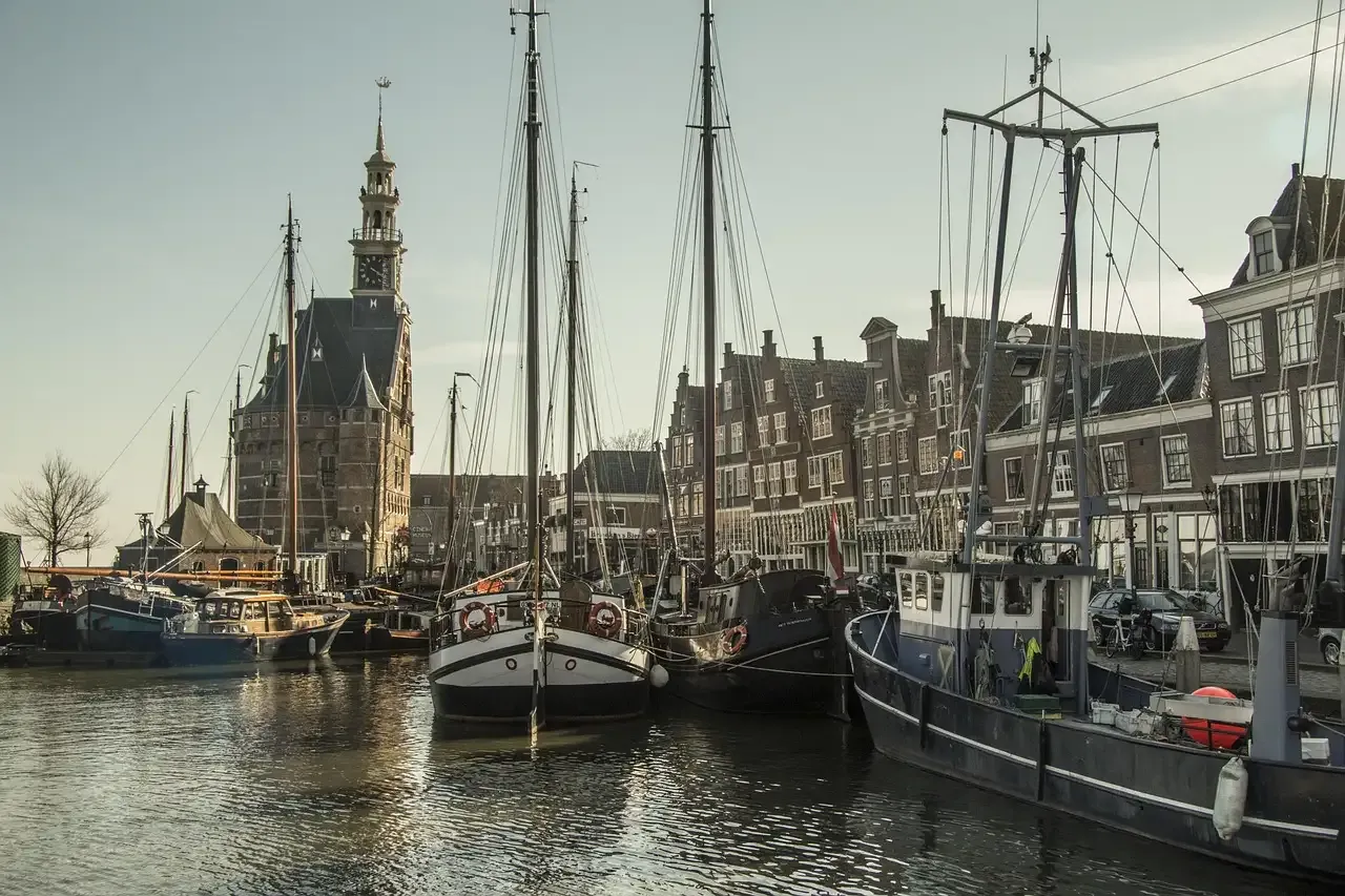 Kaas haarlem