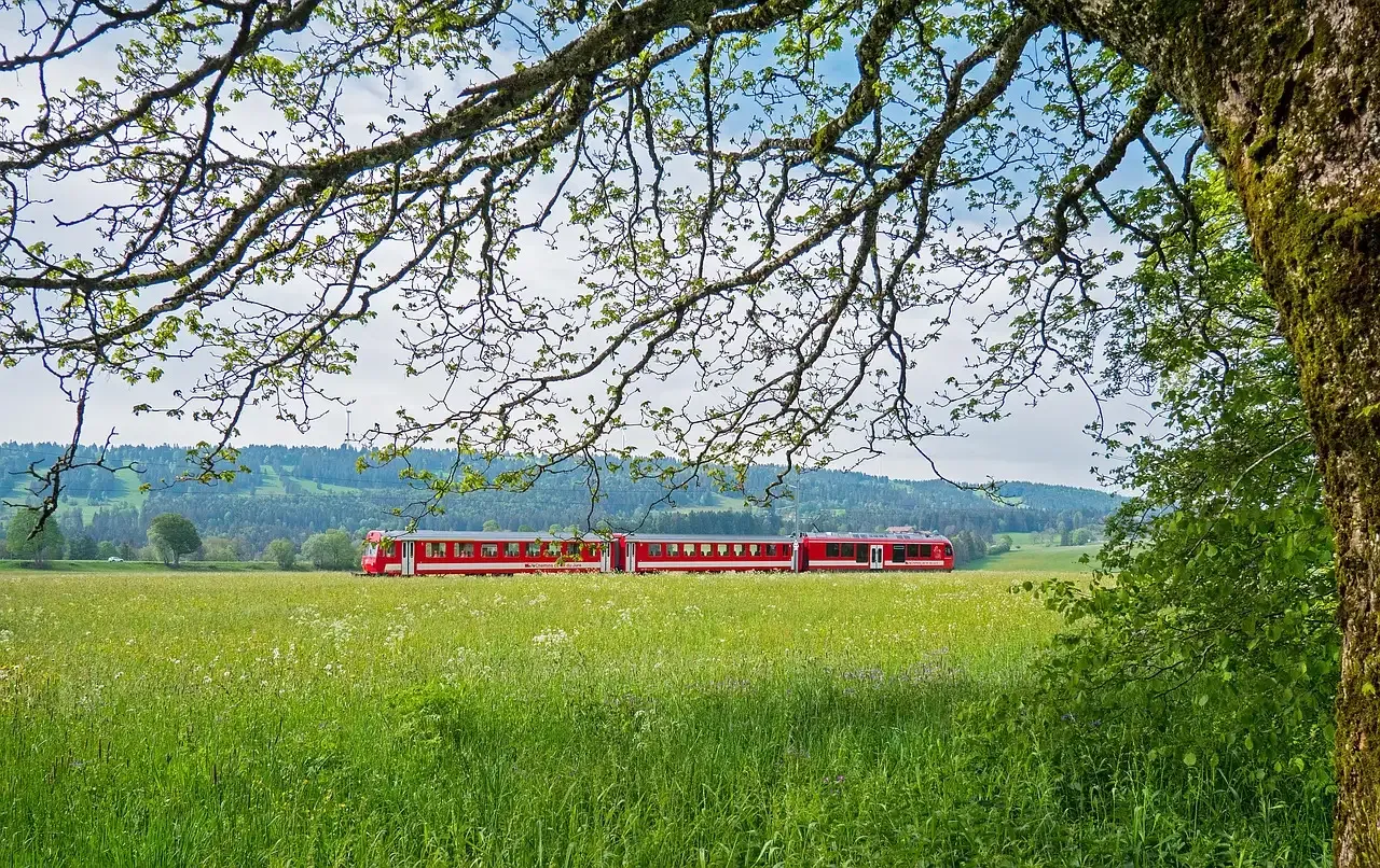 Kaas jura