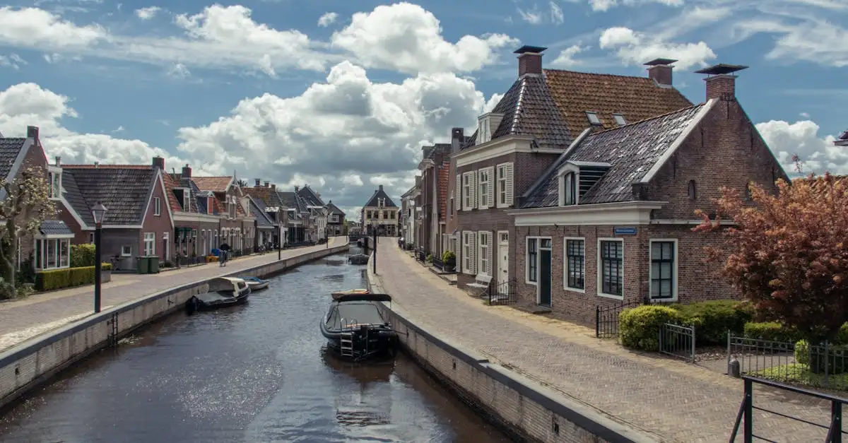 Kollum kaas kopen | Ontdek de smaak van Friesland