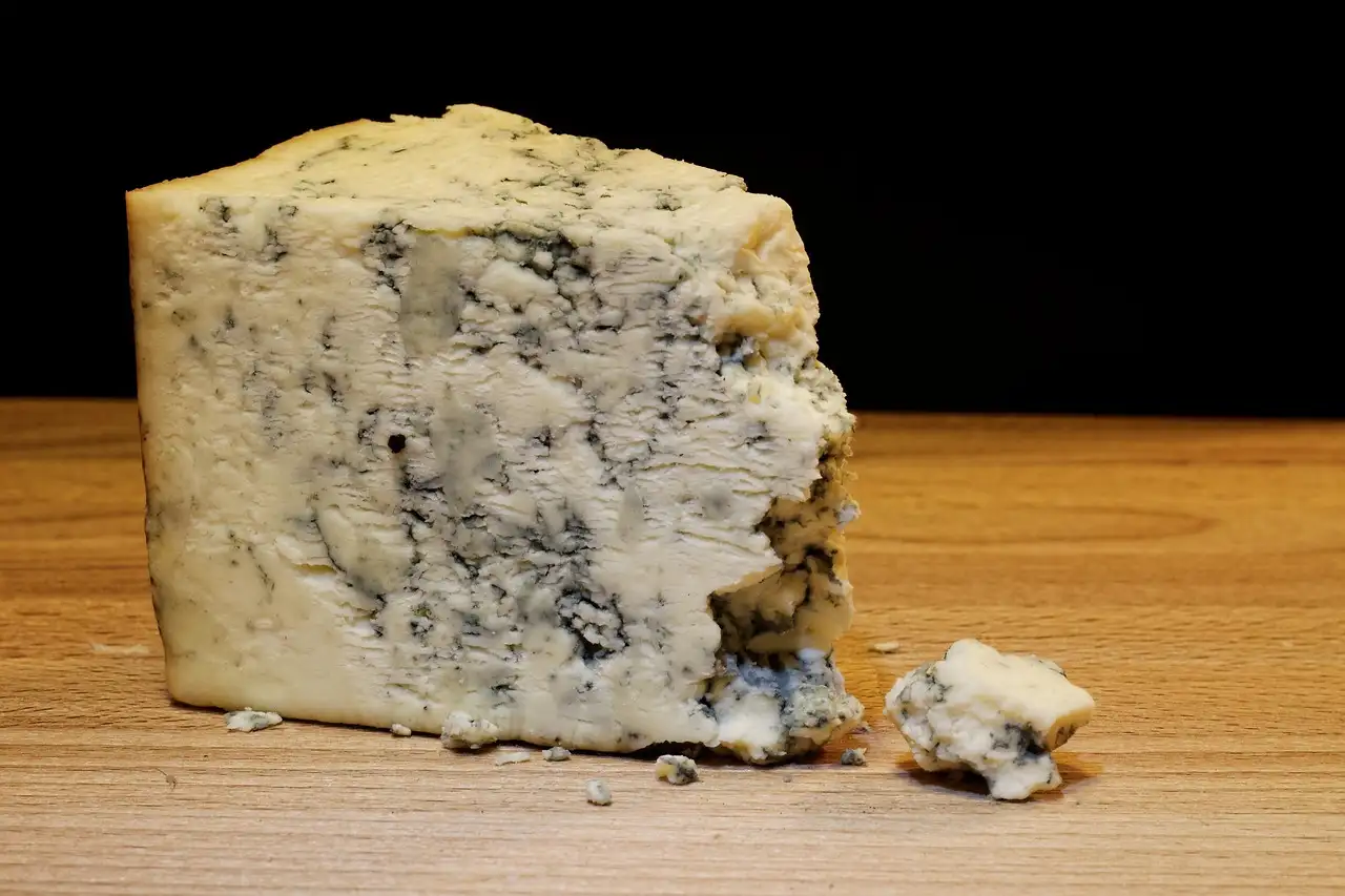 Roquefort kaas