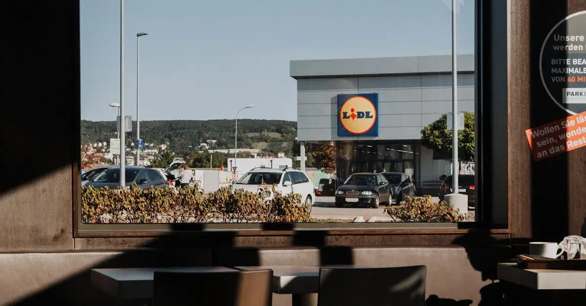 Vegan kaas bij Lidl kopen: ontdek ons assortiment