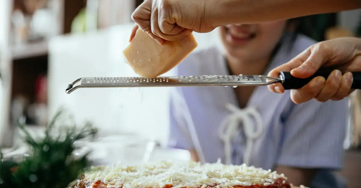 Jonge italiaanse kaas