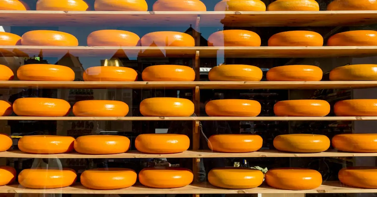 Vet kaas kopen: ontdek de lekkerste soorten en prijzen