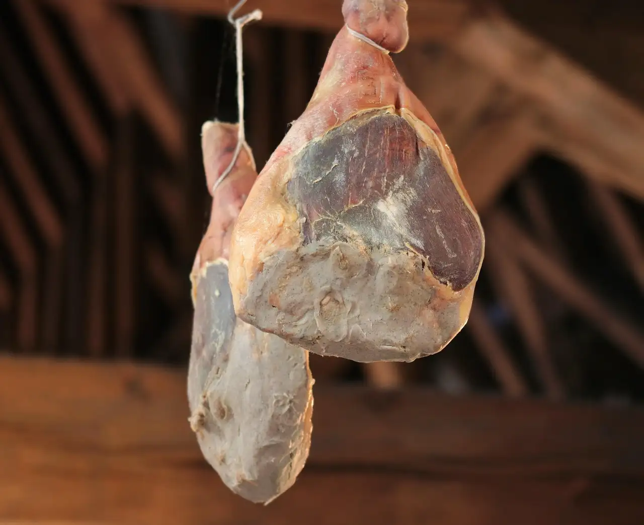 Gekookte witlof met ham en kaas