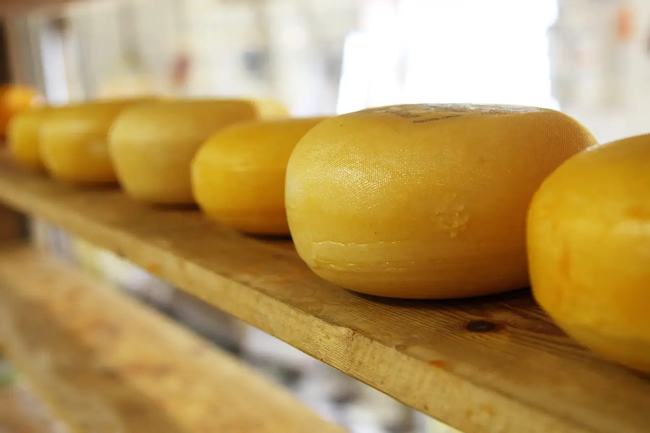 Zuivelhoeve kaas kopen: ontdek ons assortiment